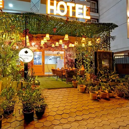 Hotel Sun Plaza-3